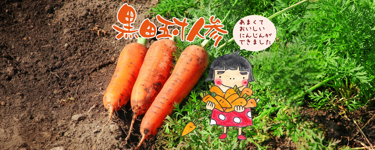 黒田五寸人参 | おおむら夢ファーム シュシュ