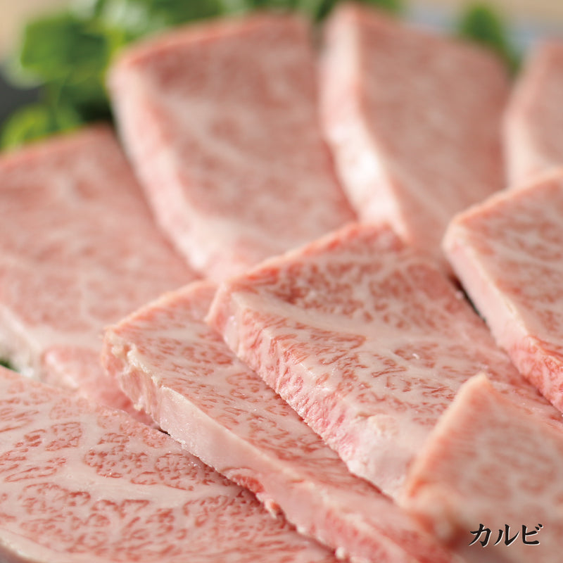 長崎和牛 焼肉セット1kg[CCC0175]